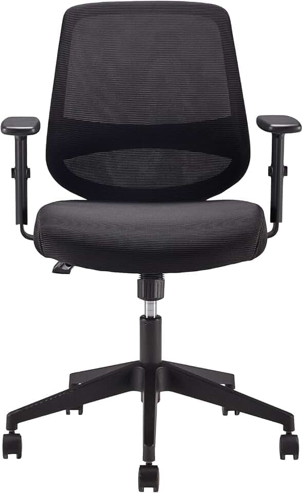 Amazon Basics Ergonomischer Bürostuhl, Schreibtischstuhl mit verstellbaren Armlehnen, Lendenwirbelstütze, Chefsessel aus Mesh-Gewebe, rückenfreundlich, einfache Montage, 63,5 x 58,4 x 91,4 cm, schwarz