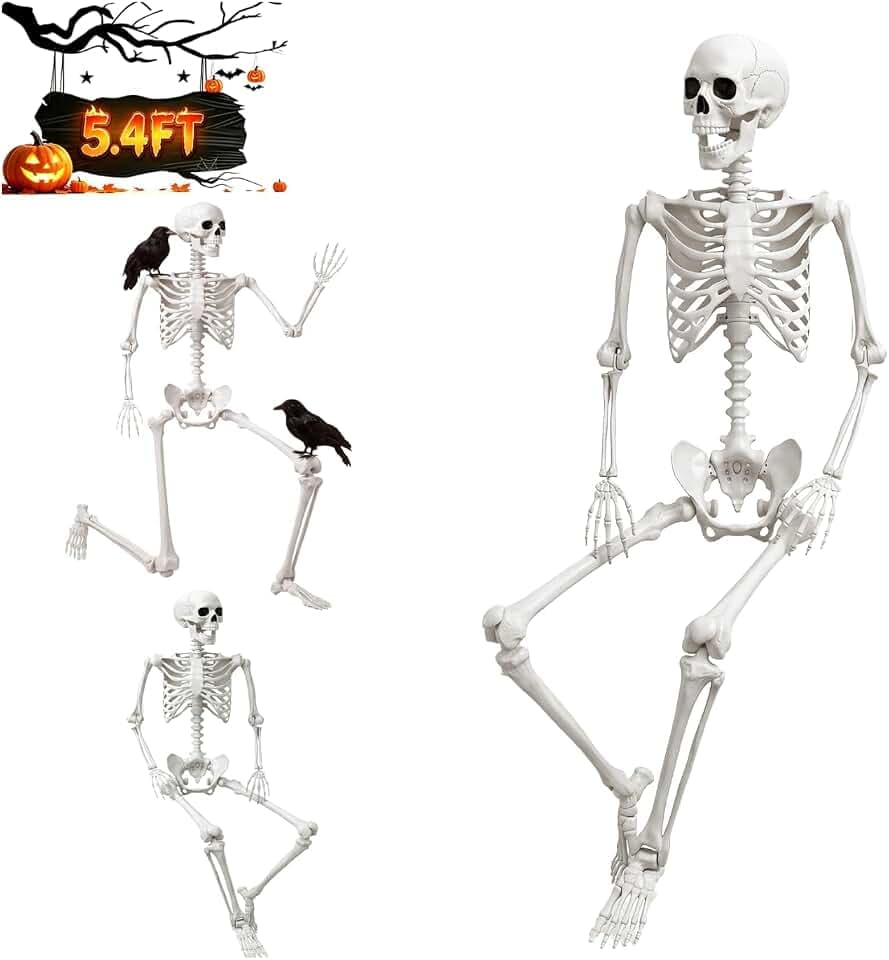 5.4Ft/165cm Halloween Life Size Human Skeleton with Full Body Posable Joint
