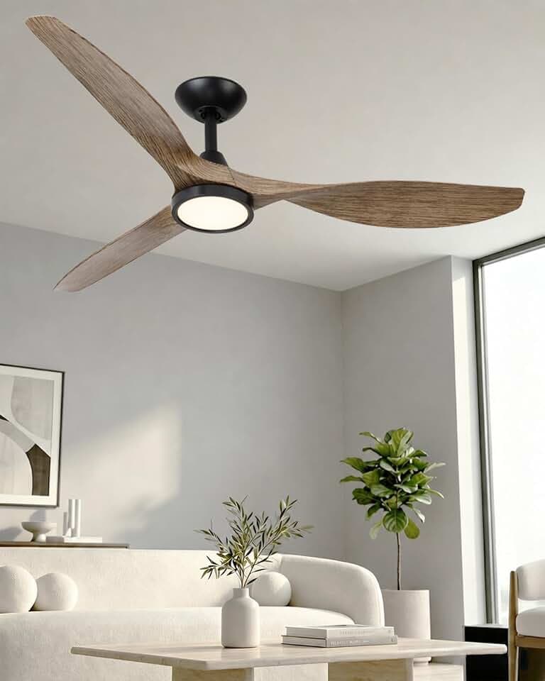 Roomratv 52 Inch Black Ceiling Fans with Lights and Remote, Large Airflow