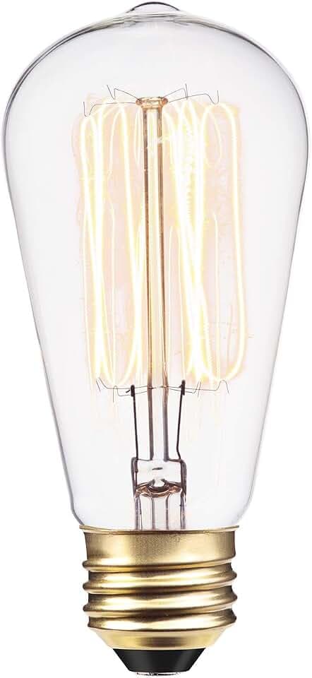 Globe Electric 01321 60W Vintage Edison S60 Squirrel Cage Light Bulb, Warm Incandescent, Tungsten Filaments, E26 Base, 220 Lumens, 2200 Kelvin, Candlelight White, 3000 Hour Lifespan
