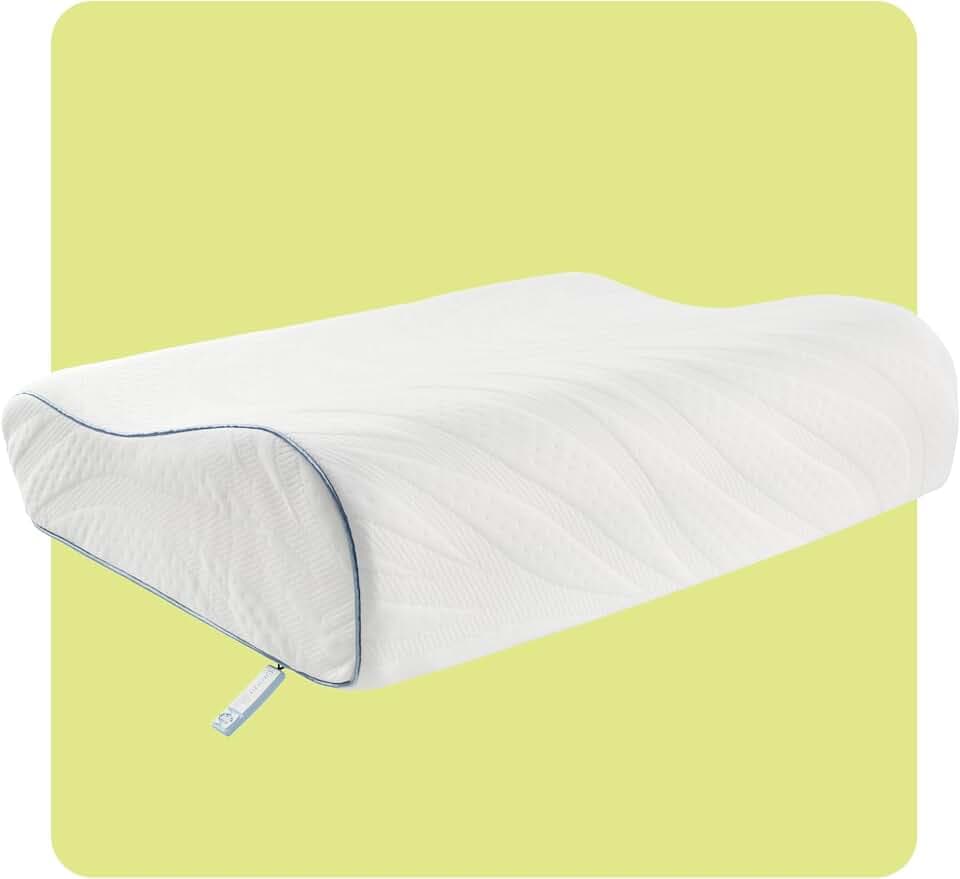 Sealy Dreamlife Standard Size Contour Memory Foam Pillow with Surface Guard Technology, Removable Machine-Washable Cover, 1 Year Limited Warranty