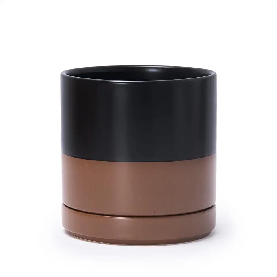 D'vine Dev 6.5 Inch Ceramic Planter Pot, Black/Tan, 94-O-C-7
