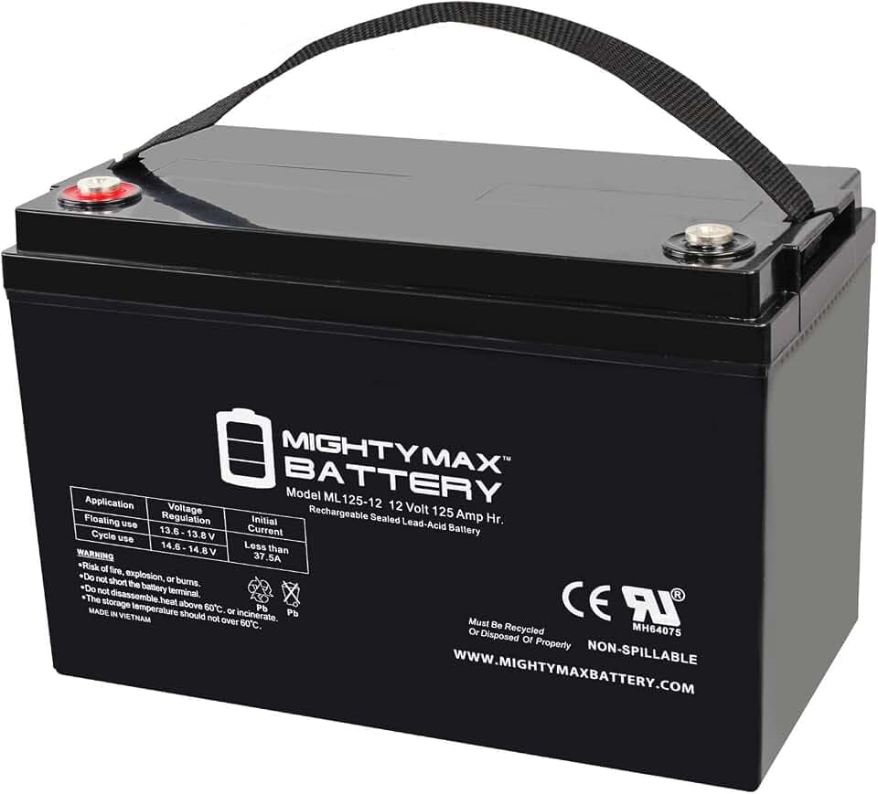 Mighty Max Battery 12V 125AH SLA Battery for Zoeller 508 Aquanot Backup Sump
