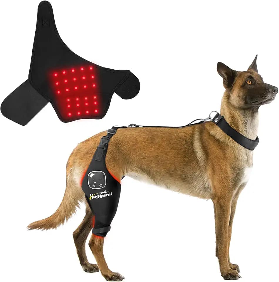 Dog Knee Brace for ACL Support, Red & Infrared Light Therapy (Right, XL)