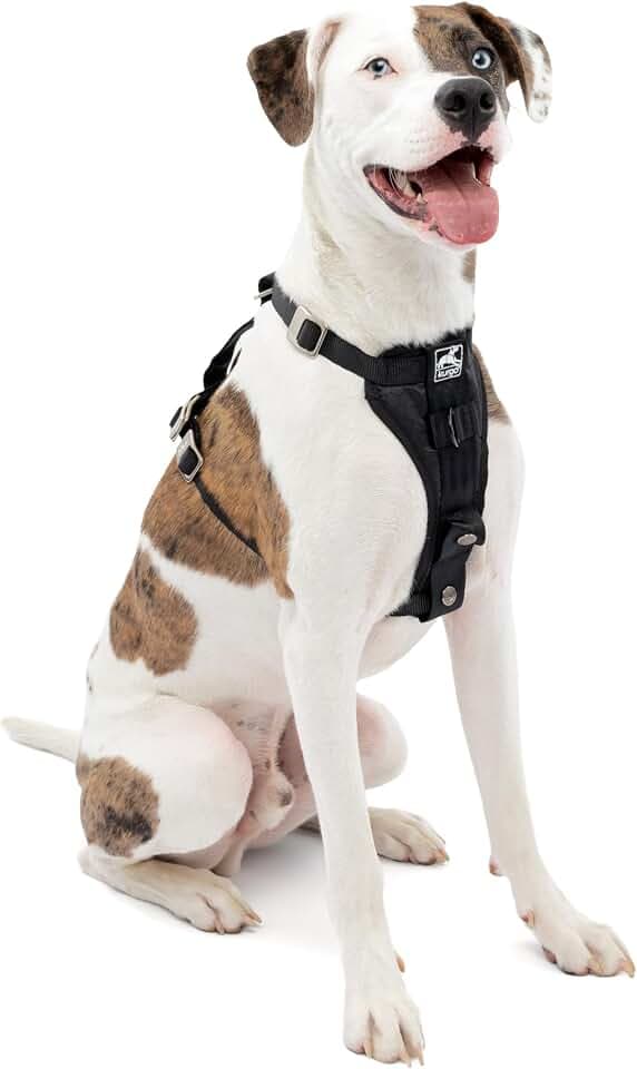 Kurgo Enhanced Strength Tru-Fit Smart Harness, Black, Medium