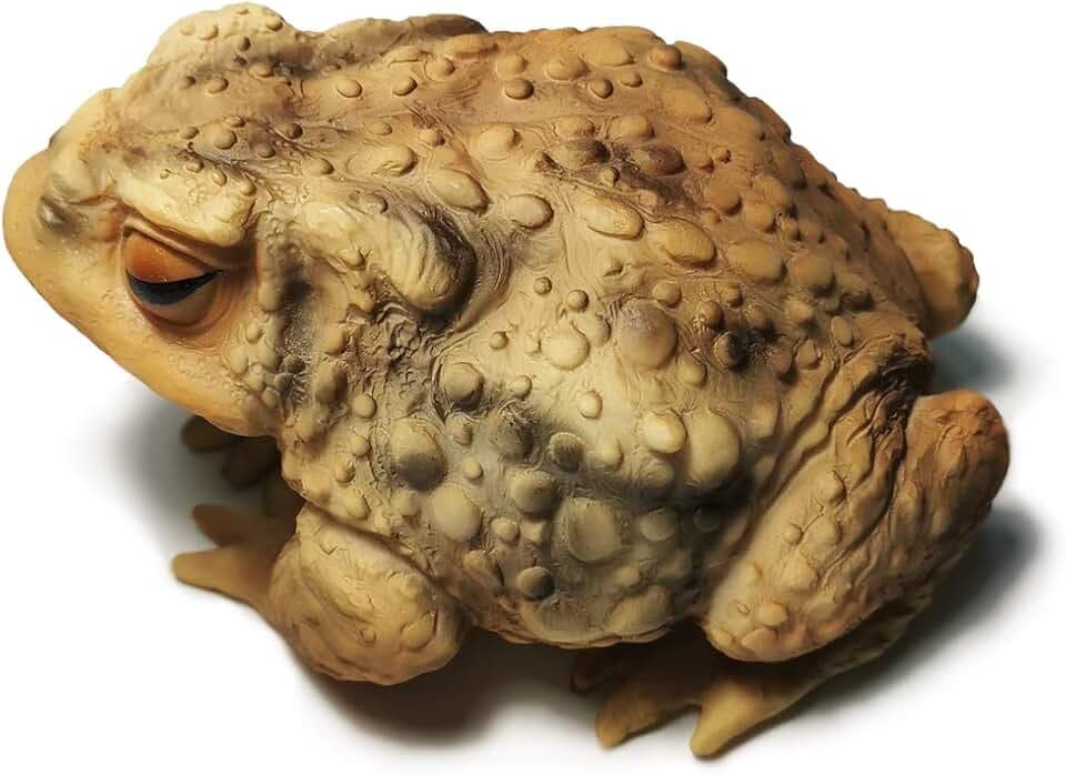 Sunthus Toad Frog Figurine for Outside Garden Resin Statue Outdoor