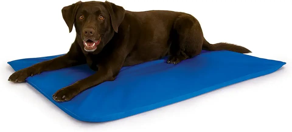 K&H Dog Cooling Mat, Cool Bed III - Large 44x32in Chill Blue