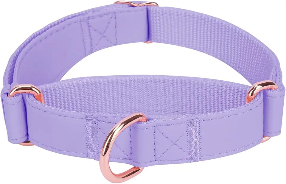 Soft Leather Martingale Dog Collar - Adjustable Rose Gold Limited Slip Collars [Easy to Clean], Stylish Durable Heavy Duty Nylon No Pull Training Collar for Small Medium Large Dogs S Purple