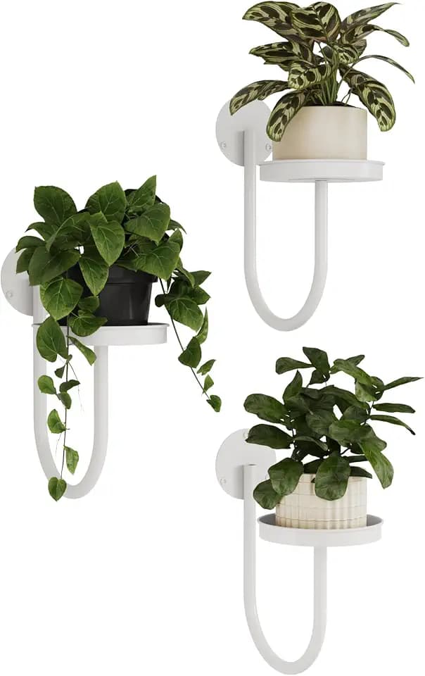 Bamworld Wall Plant Holder for Hanging Planters, White, 3pcs