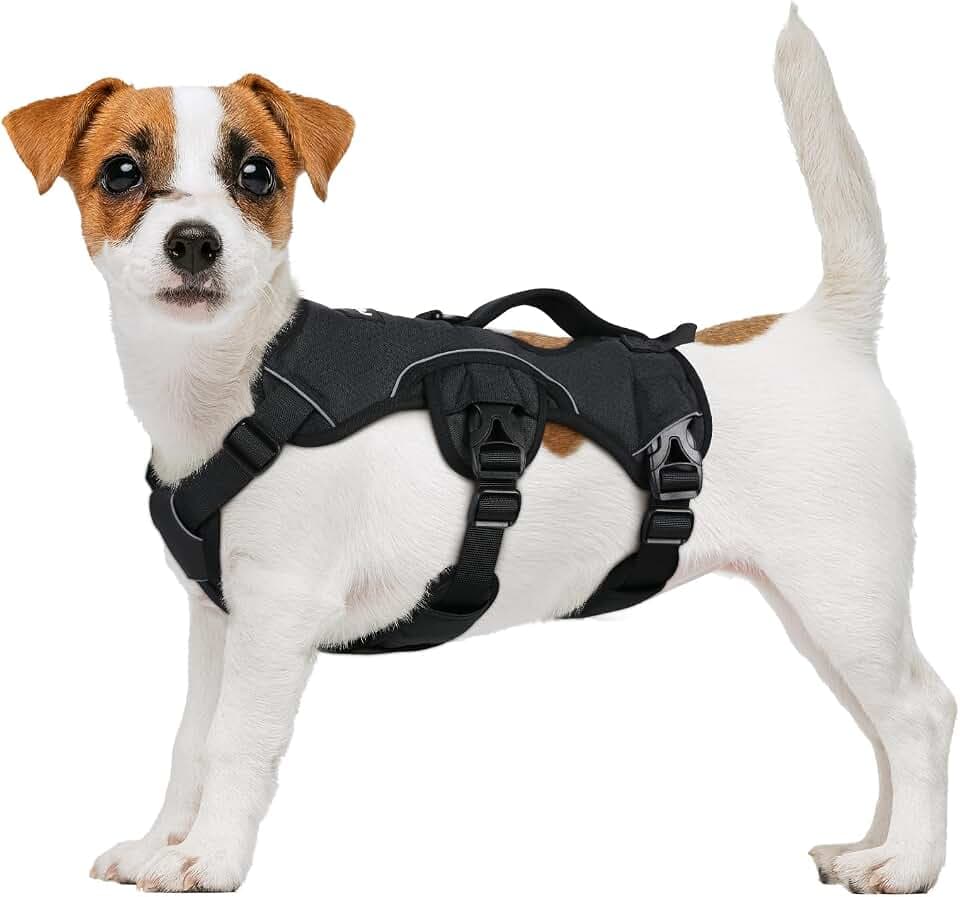 rabbitgoo Hundegeschirr Mittelgroße Hunde，Sicherheitsgeschirr Hund