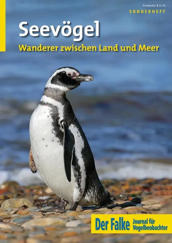 Seevögel: Wanderer zwischen Land und Meer