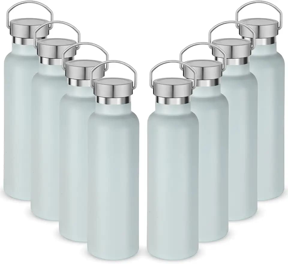 Neihepal 20 Ounce Insulated Stainless Steel Water Bottle,Double Wall Vacuum Travel Bottles with Leak Proof Lid of Handle,Metal Standard Mouth Flask Thermoses for School,Hikers,Gift(Fog,8)