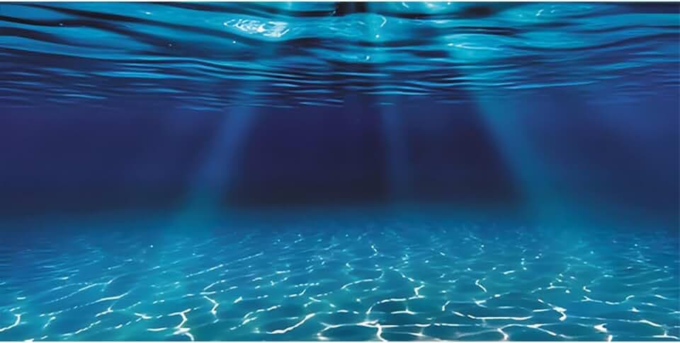AWERT 48x24 in Undersea Aquarium Backdrop Underwater Fish Tank Background