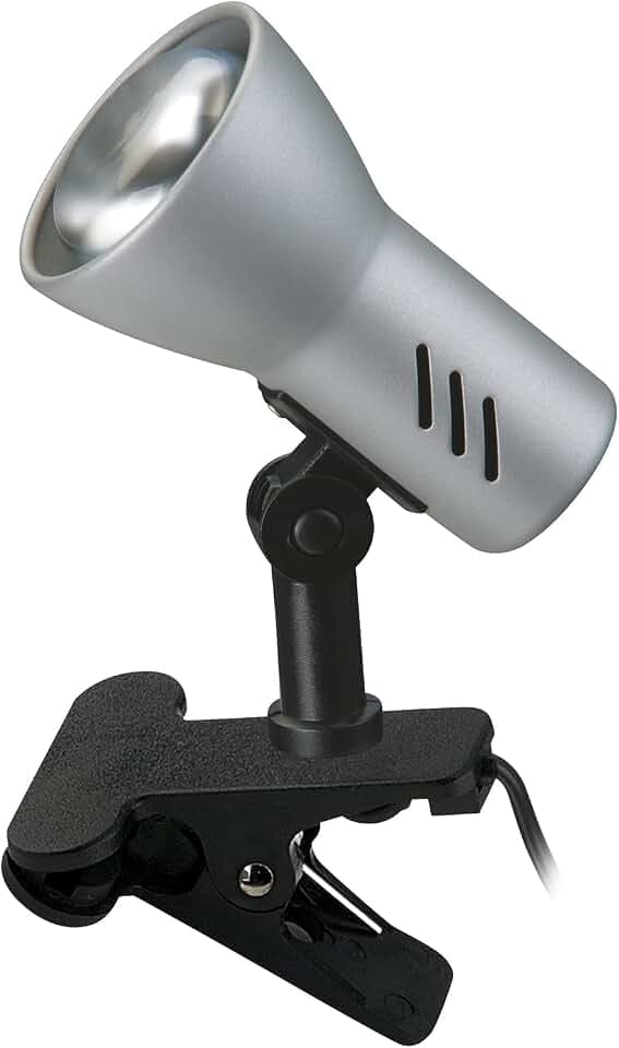 BRILONER - Schreibtischlampe mit Kabelschalter, schwenkbar, E14 Fassung, max. 40 Watt, Klemmlampe, Klemmleuchte, Nachttischlampe, Leselicht Kinder, Leselampe Bett, 6,5x11,5x10,8 cm, Titanfarbig