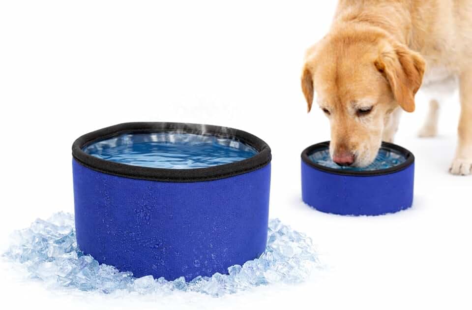 Hundenapf - kühlender Napf Fresk blau - 16x16x10 cm - Gel-Füllung - für Gefrierfach geeignet - ideal für unterwegs