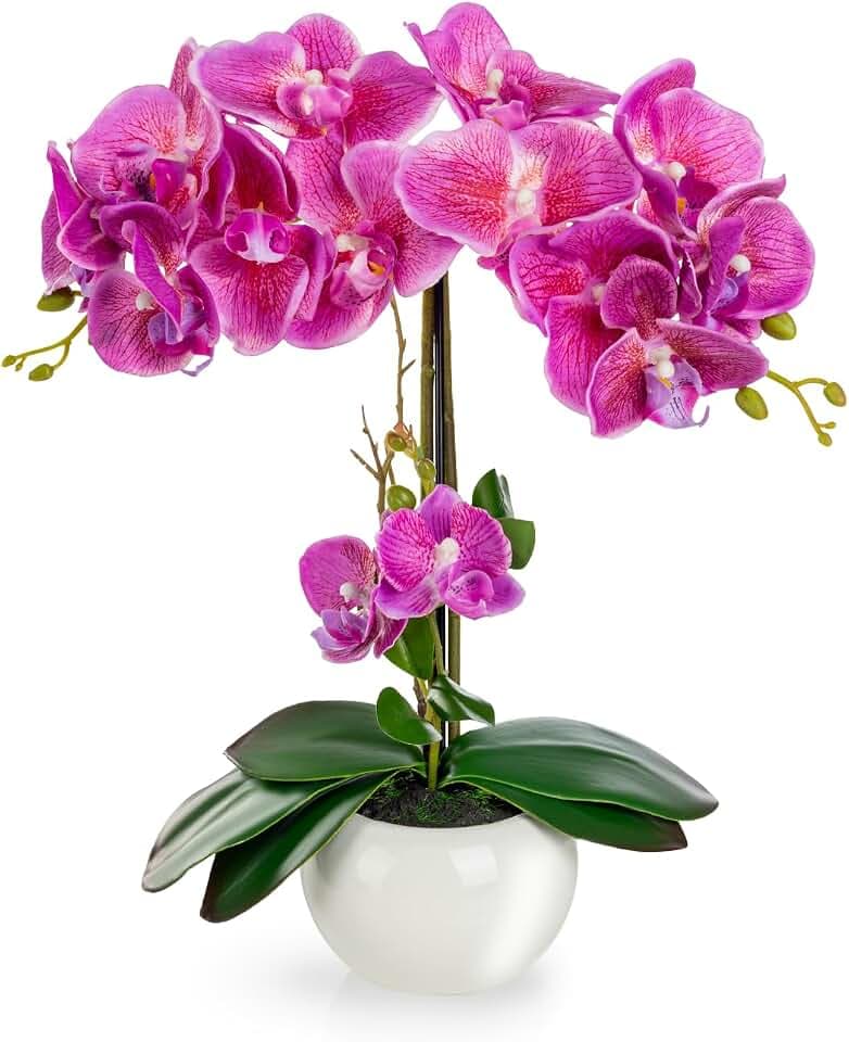PASCH® Orchideen künstlich in Hochglanz-Keramiktopf (40cm) | Kunstblumen im Topf | Kunstblumen wie echt | künstliche Orchideen im Topf | künstliche Blumen im Topf | Kunstblume Orchidee
