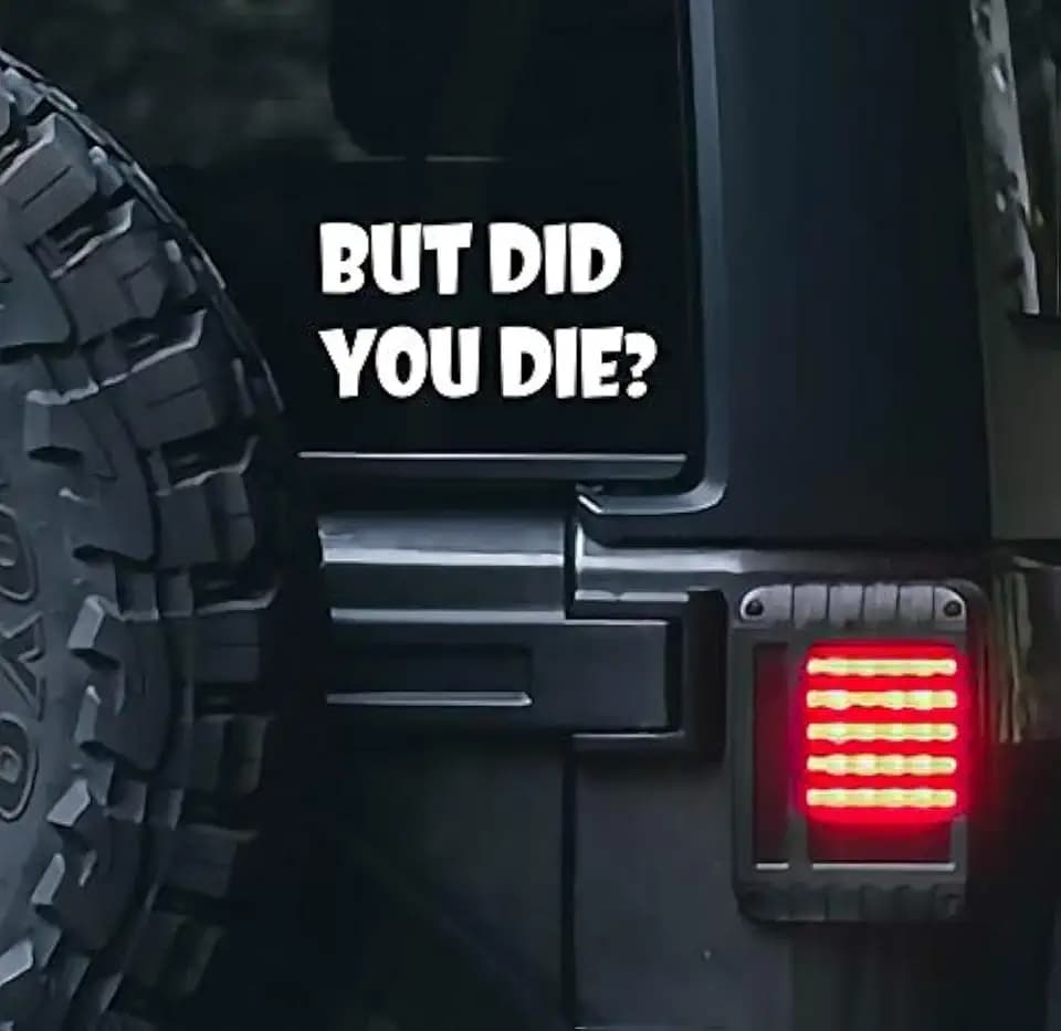 But Did You Die Stickers–Vinyl Decal for Car and Van – Indoor and Outdoor use for Long Lasting–Waterproof Stickers for Waterbottle and Laptop–Removable Sticker for Mirror–VC 372
