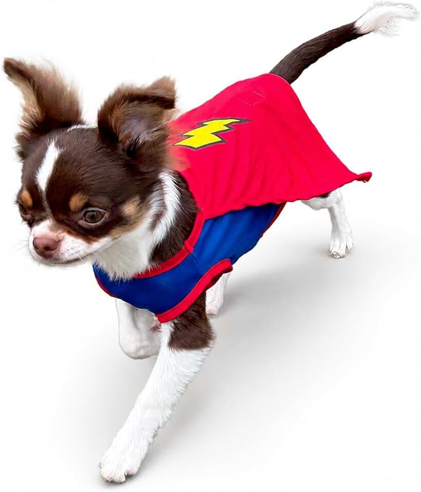 Mighty Supa Man Pet Halloween Costume with Cape - Small to Medium-Large Breed Funny Clothes Outfit Apparel (Medium)