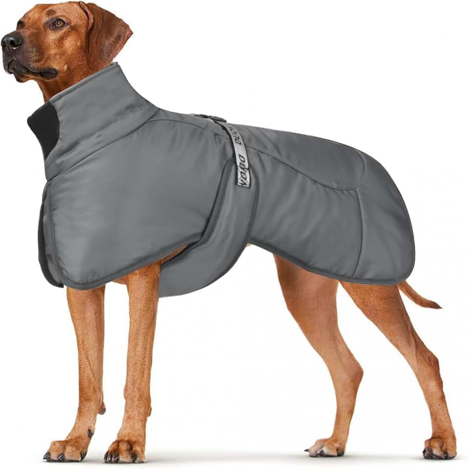 Hundemäntel Wasserdicht Winddicht Warm Winter Sicher mit Gewinde Reflektierende Streifen Jacke für Mittelgroße Große Hunde mit Geschirrloch für Welpen Haustiere Kaltes Wetter Kleidung Weste