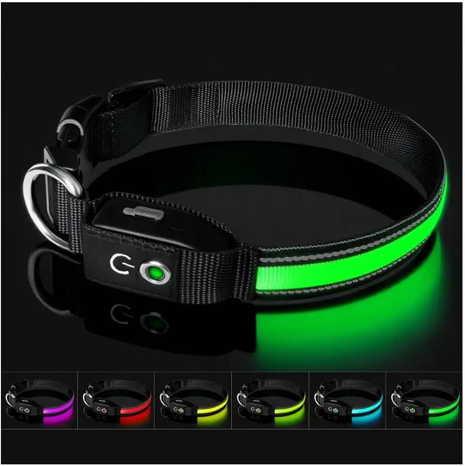 Auto Light Up Dog Collar - Smart Safety Night Collar with Motion Sensor - Auto-On in Dark - USB-C Rechargeable - 3 Day Runtime- IP65 Waterproof (M 15-20“)