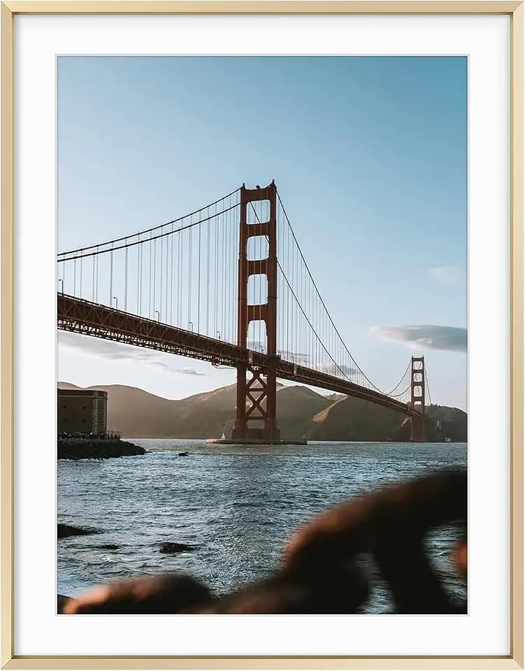 Frametory 18x24 Gold Aluminum Metal Picture Frame Mat for 16x20 Glass