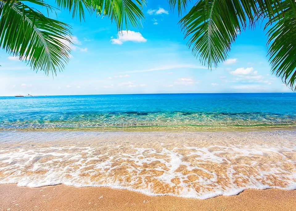Summer Hawaii Beach Photo Banner 7x5ft Tropical Summer Palm Trees Photography Backdrop for Wedding Baby Birthday Bridal Shower Hawaiian Luau Party Decoration Banner Supplies