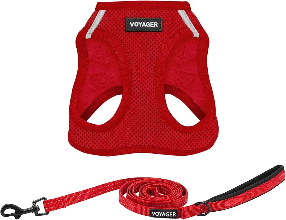 Best Pet Supplies Voyager Step-in Air All Weather Mesh Harness and Reflective Dog 5ft Leash Combo with Neoprene Handle, for Small, Medium and Large Breed Puppies - Red, Small