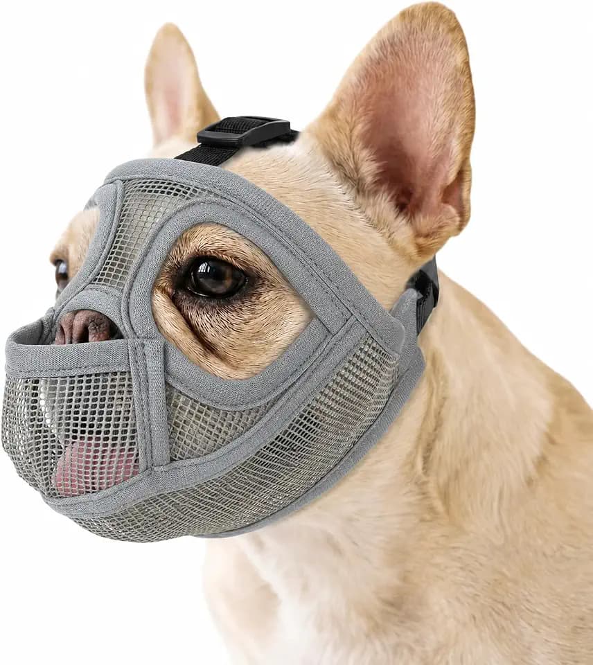 Maulkorb Französische Bulldogge – Hund Maulkorb verhindert Beißen & Fressen | ermöglicht Hecheln & Zunge Raus | ideal für Tierarzt, Spaziergang & Training (Grau L)