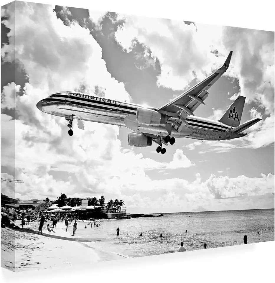 Trademark Fine Art - 'American Airliner' Canvas Art - 18x24
