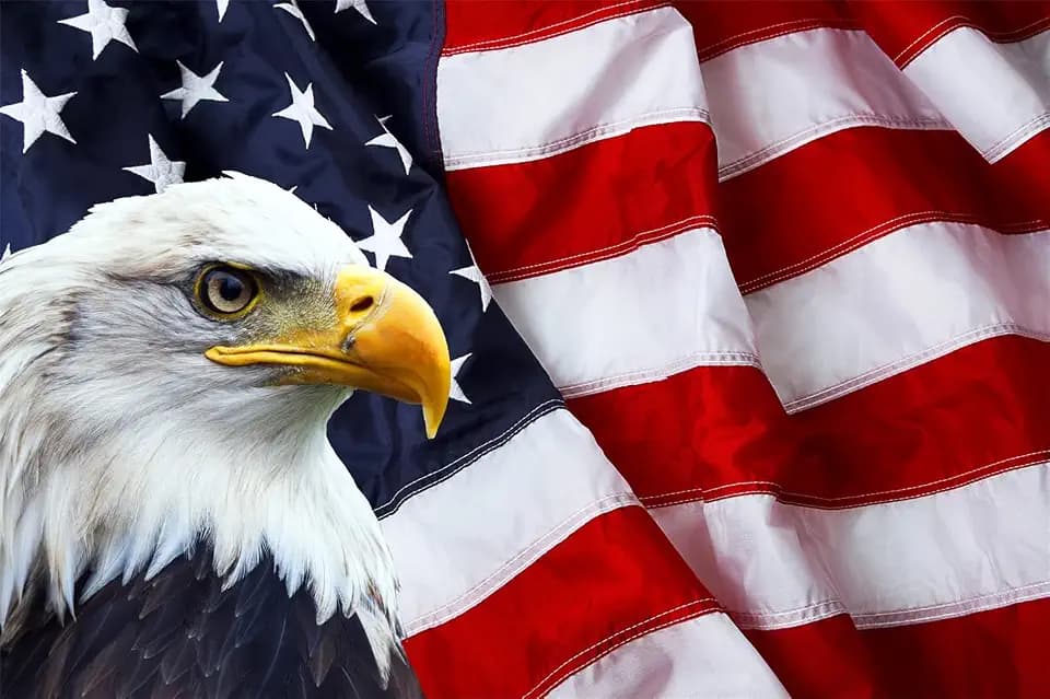 BELECO 7x5ft Fabric American Flag Backdrop Bald Eagle Stars and Stripes US Flag Backdrop Patriotic National Holiday Labor Day Veterans Day Memorial Day Party Decor Supplies Portrait Photoshoot Props