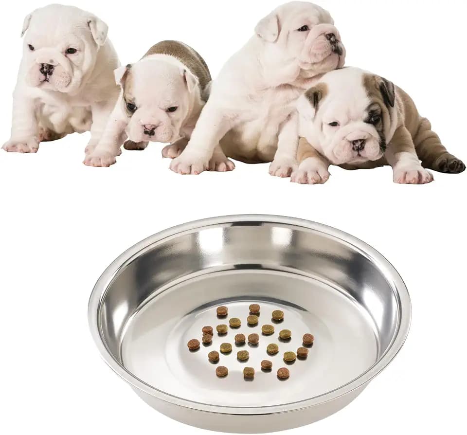 SPOT Puppy Litter Dishwasher-Safe Stainless Steel Feeder Pan, Rust-Proof, Low Sides for Easy Access, for Single or Multiple Puppies, 10" Diameter x 1.25" Depth, Holds 5 Cups (40 oz)