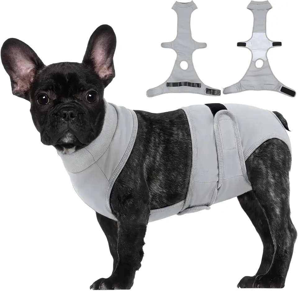 BRKURLEG Female Dog Diapers with Suspender, Washable & Reusable, Grey XS