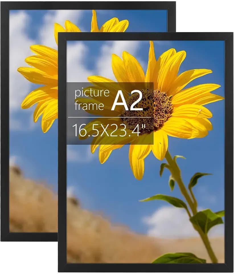 Golden State Art, A2 Frame with Plexiglass, Set of 2, Black
