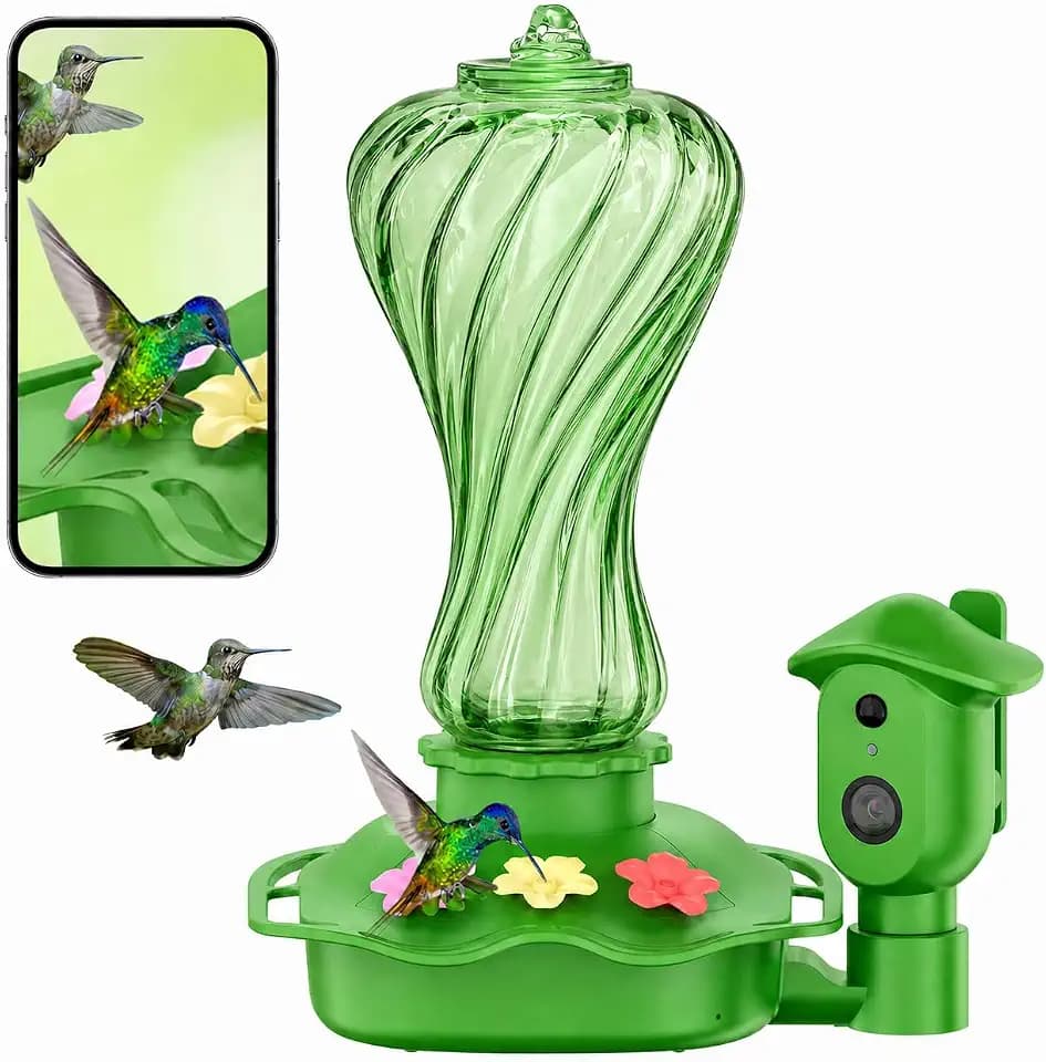 Bird Feeder