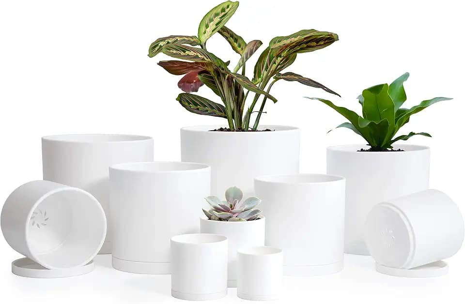 D'vine Dev 10-Pack Plastic Pots with Saucers, 2-6.5 in, White, 74-S-A