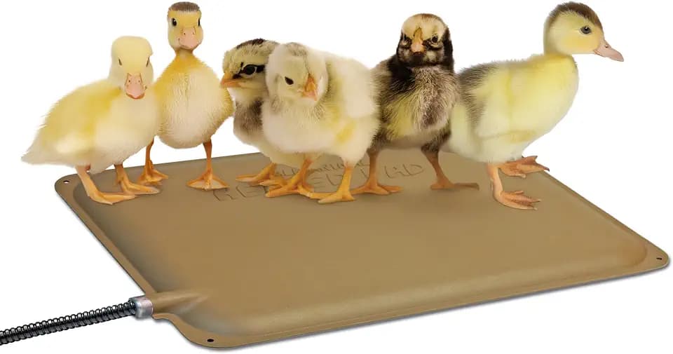 K&H Heating Pad, Thermo-Peep Chicken Heating Pad for Brooders Safety Listed