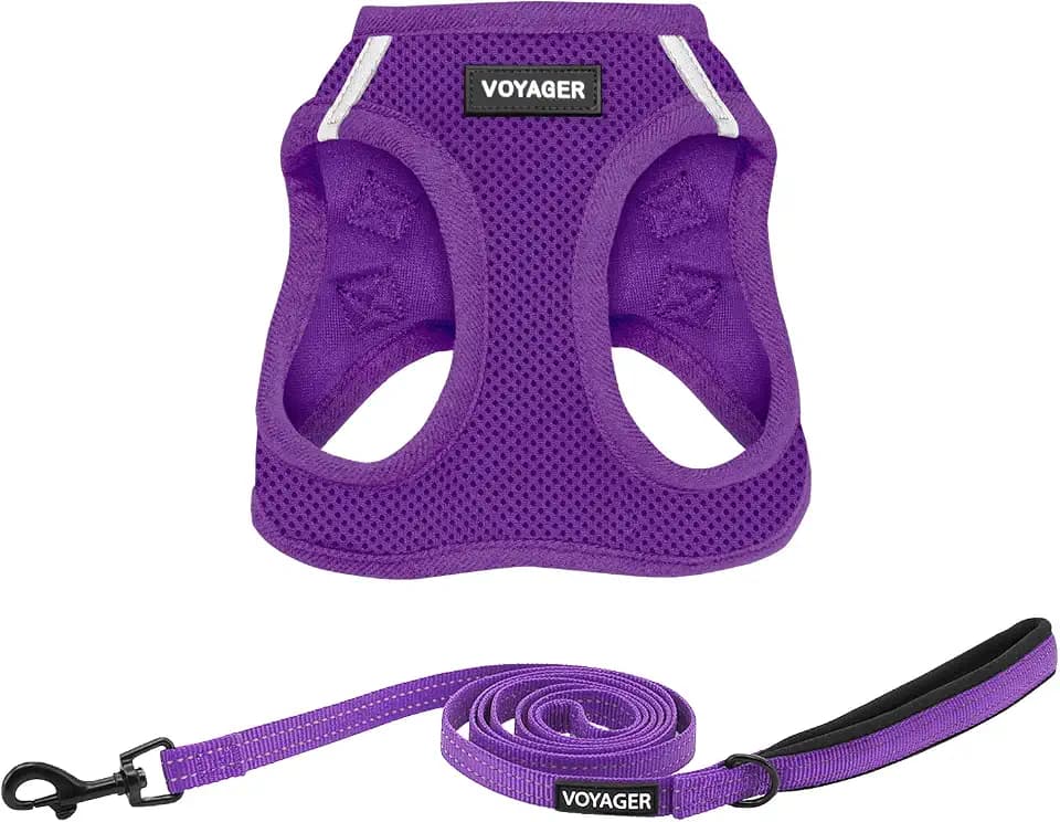 Best Pet Supplies Voyager Step-in Air All Weather Mesh Harness and Reflective Dog 5ft Leash Combo with Neoprene Handle, for Small, Medium and Large Breed Puppies - Purple, Small