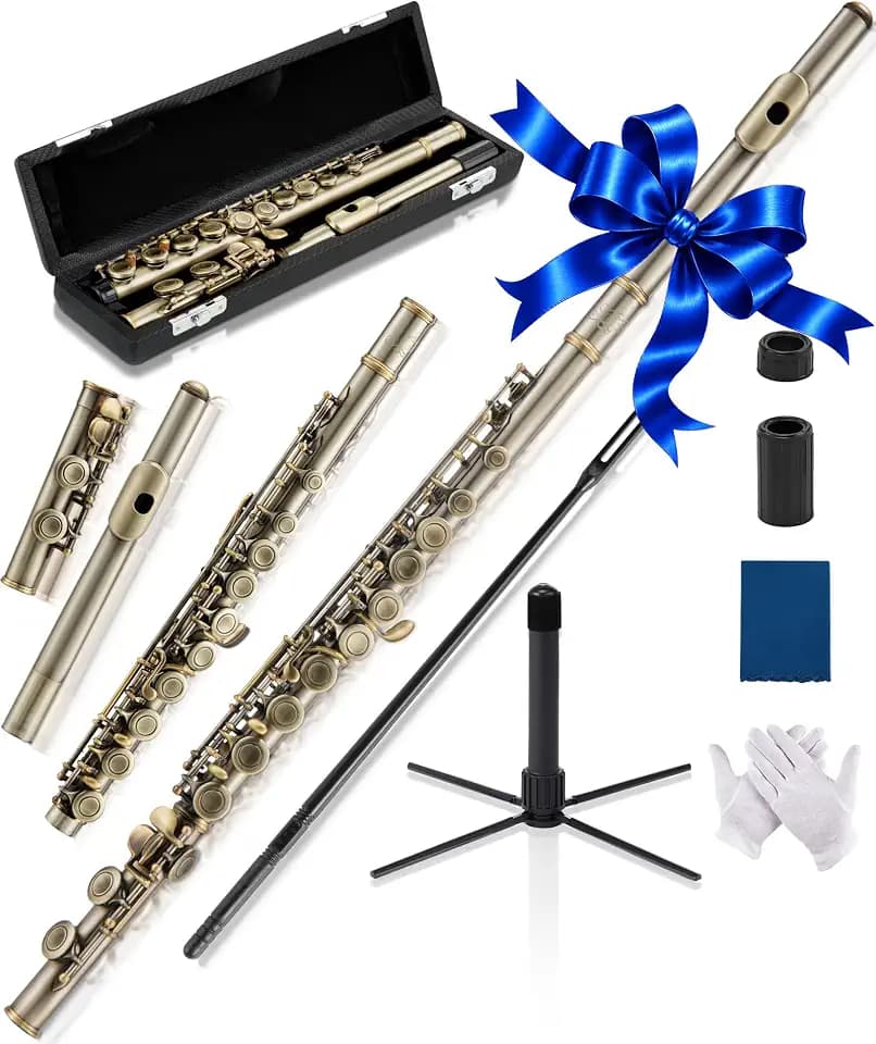 AKLOT Closed-Hole Concert C Flute: Flute Instrument with 16 Keys, Offset G, Smooth Cupronickel Keys, Air-Tight Pads, Include Stylish Leather Hard Case, Cleaning Kit, Stand, Gloves (LUM-AR)