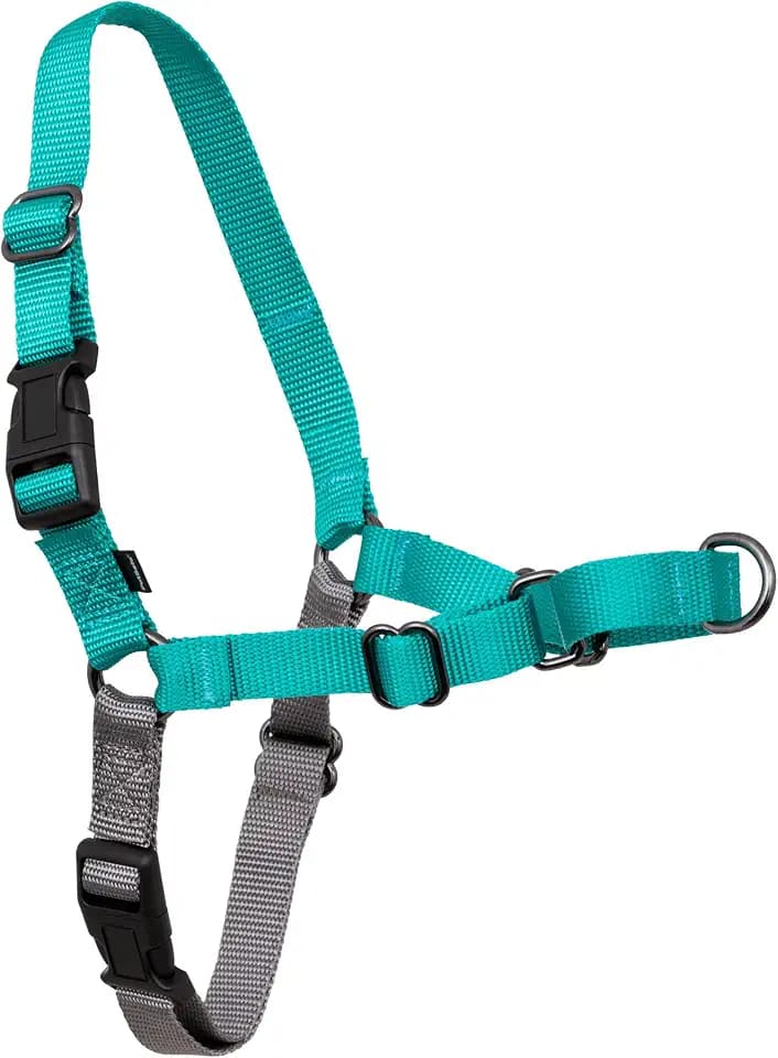 PetSafe Easy Walk Harness, No Pull Dog Harness, Teal, Medium
