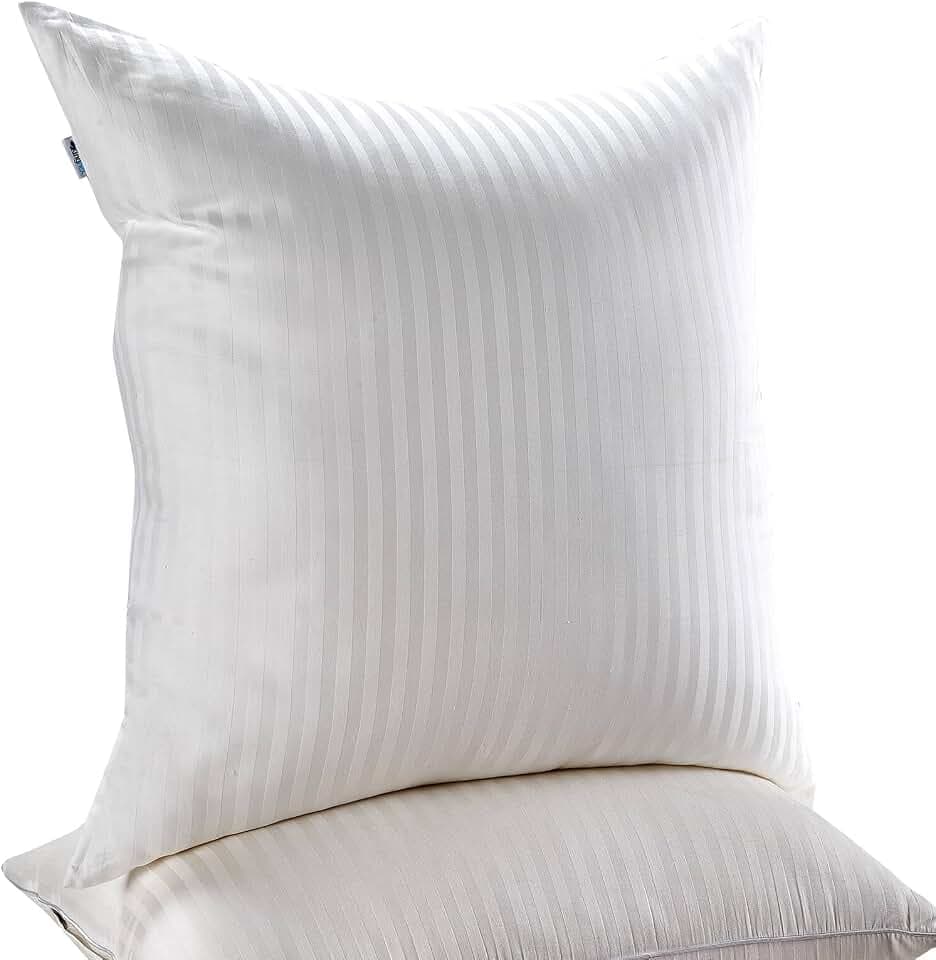 Kingnex Stripped Pattern Pack of 2 Euro Pillow Inserts 26x26