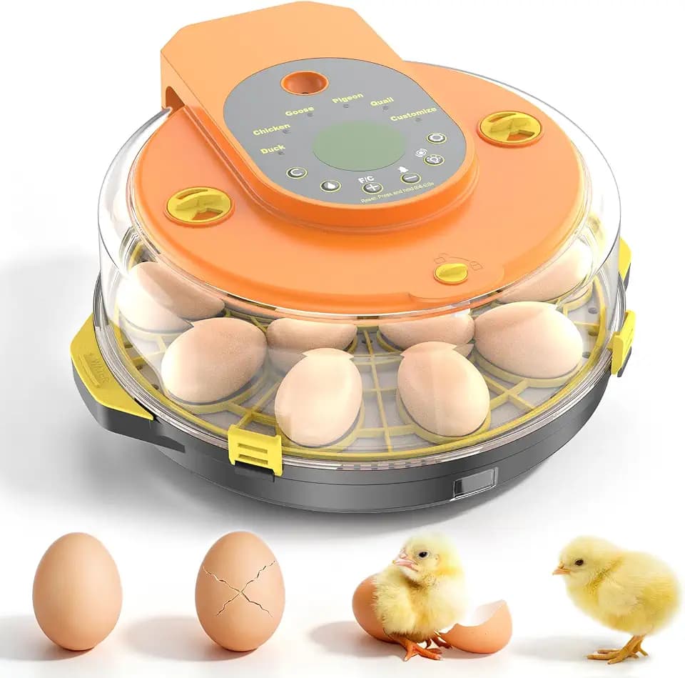 15 Eier Brutautomat Vollautomatisch, Inkubator Hühner mit Automatische Wasserversorgung & Auto Eierwender, Feuchtigkeitskontrolle, Eierdurchleuchter für Hühner, Enten & Wachteleier (Orange)