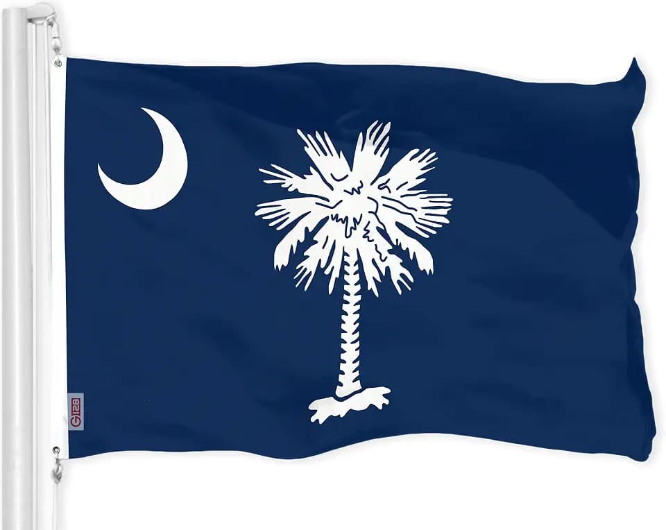 G128 South Carolina SC State Flag | 3x5 Ft | LiteWeave Pro Series Printed 150D Polyester | Indoor/Outdoor, Vibrant Colors, Brass Grommets, Thicker and More Durable Than 100D 75D Polyester