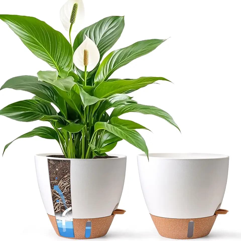 T4U Blumentopf mit Bewässerungssystem 30 cm 2er Set, für Innen, Weiß