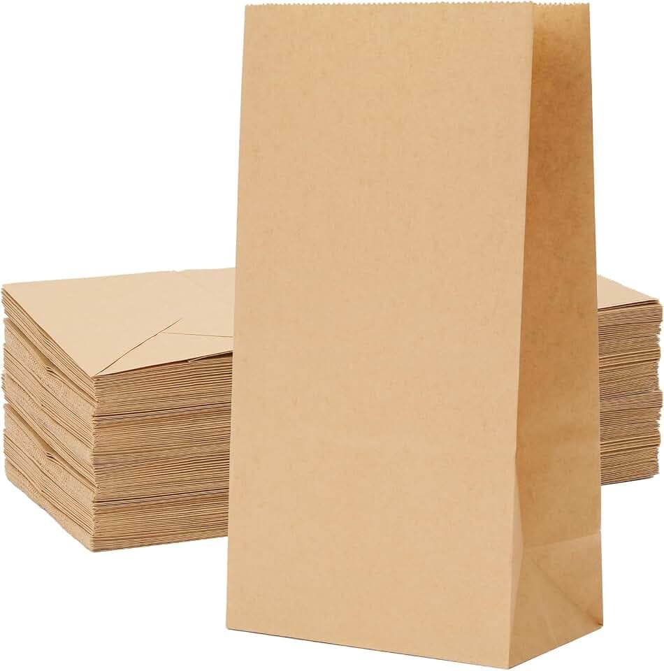 Homrelaxy 60 Pcs 4LB Brown Paper Lunch Bags, Disposable Kraft Paper Bag