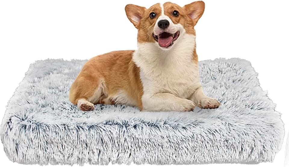 Hundebett Orthopädisch Mittelgroße Hunde Memory Foam Hundematte mit Abnehmbarem Waschbarem Bezug Wasserdicht Flauschig Hundematratze Rutschfest Ergonomisches Hundekissen Plüsch Hundekorb Hundekörbchen