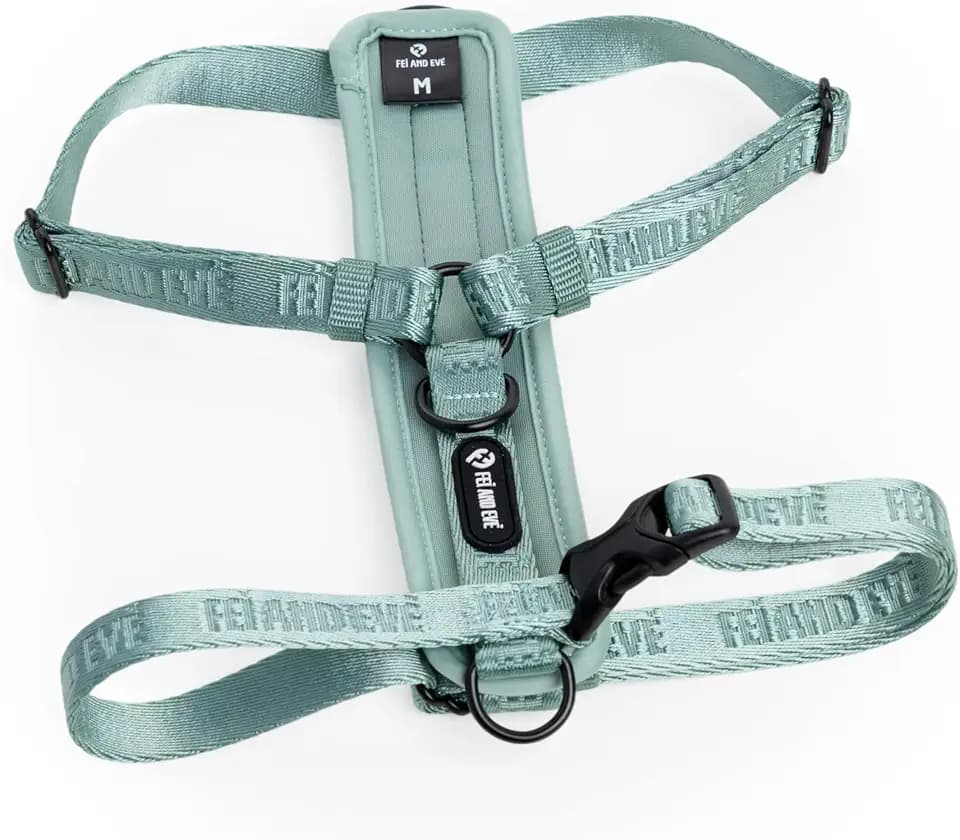Fei & Eve Moxie Dog Harness for Small & Medium Dogs, Glacier Green, XS