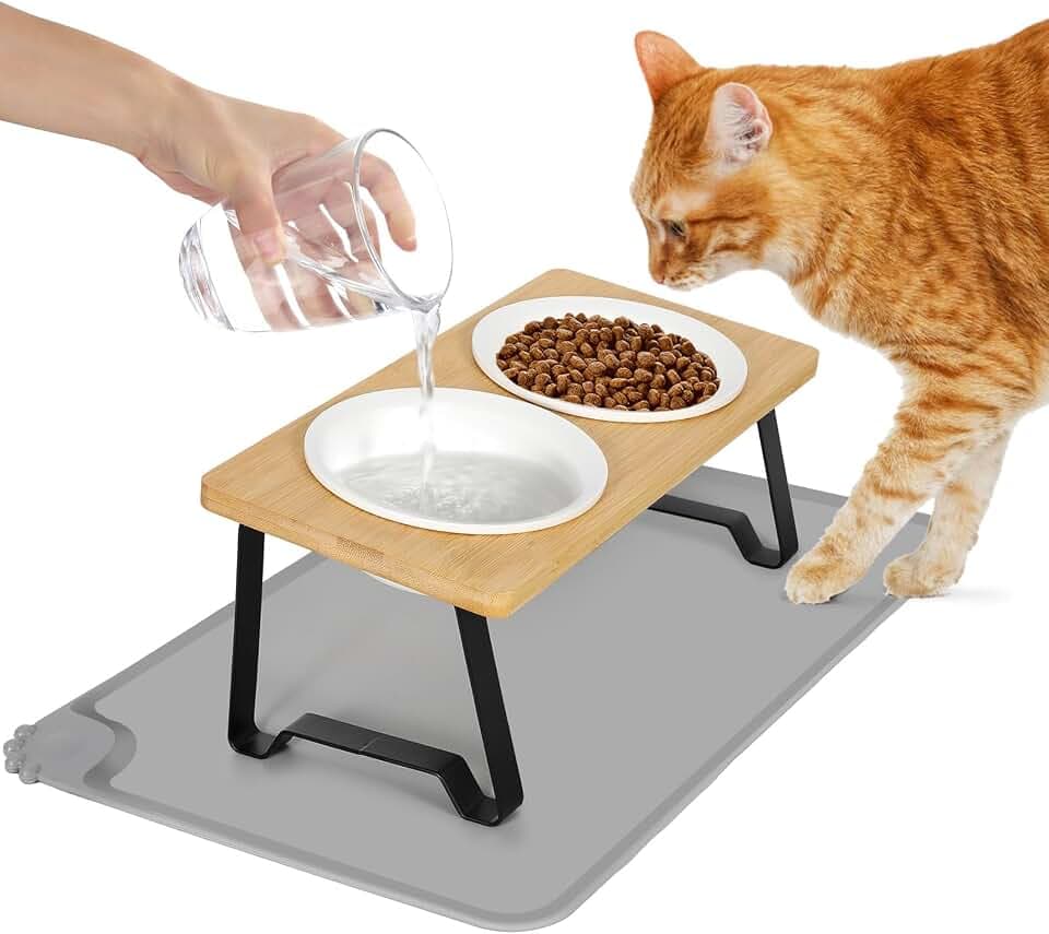 Lannvan Katzennapf Erhöht, 2er Set Futternapf Katze aus Keramik mit Napfunterlage Silikon, Ergonomischer Futterstation 15°gekippte Katzen Hundenapf,Fressnapf und Wassernapf für Katzen und kleine Hunde