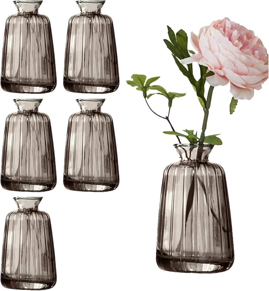6 Stück Kleine Glasvasen für Tischdeko, Mini Vasen Blumenvase Set für Hochzeit Tischdeko(11× 6,5cm, Grau)