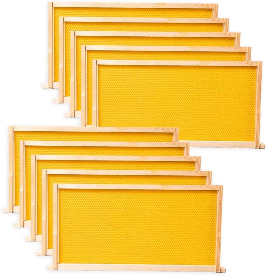 BeeCastle 10 Pack Beehive Frames and Wax Foundations for Deep Brood Bee Hives with Honeycombs Wooden Bee Hive Frames and Beeswax Coated Foundations, 9-1/8-Inch (Yellow)