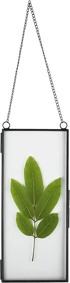 NCYP Small Double Glass Floating Frame for Photo, Picture, Pressed Dried Flowers - 4.1" x 9" - Wall Hanging Clear Artwork Display Clip, Indoor Home Decor, Black (Plants Not Include)